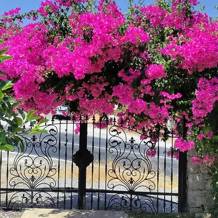 Harmanyeri Tatilevi * Selimiye