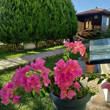 Harmanyeri Tatilevi Panzió *