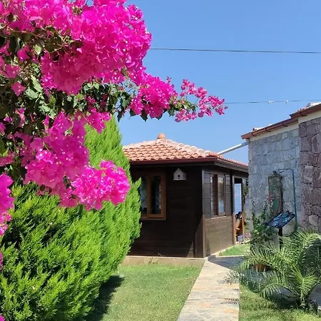 Harmanyeri Tatilevi * Selimiye