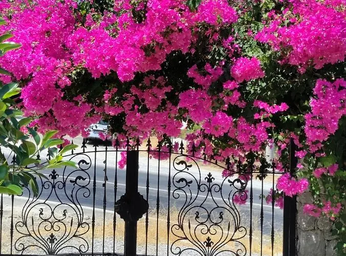 Harmanyeri Tatilevi * Selimiye (Aegean)