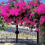 Harmanyeri Tatilevi * السليمية