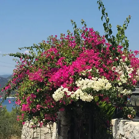 Bed & Breakfast Harmanyeri Tatilevi *