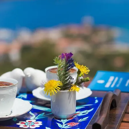 Harmanyeri Tatilevi Bed and breakfast