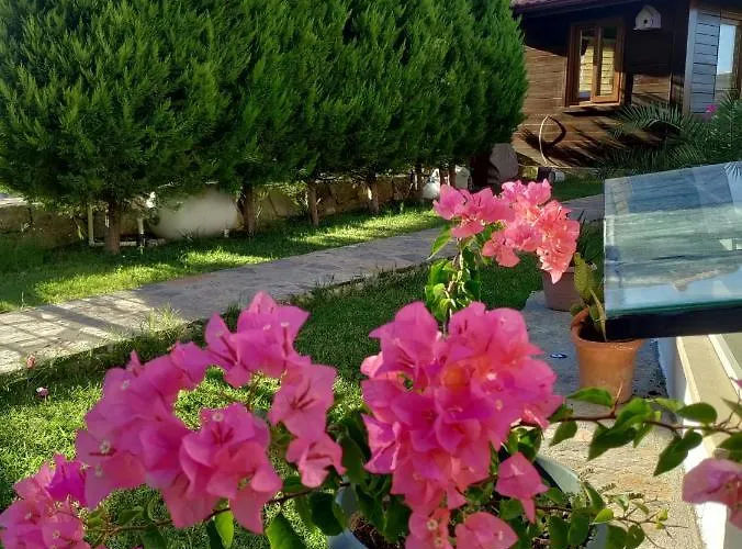 Harmanyeri Tatilevi B&B *