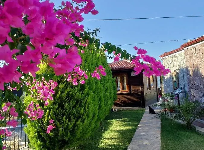 Harmanyeri Tatilevi B&B Selimiye (Aegean)