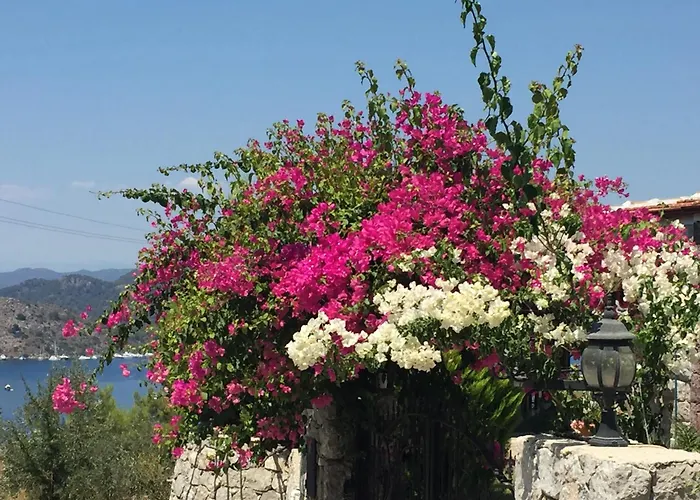 Oda ve Kahvaltı Harmanyeri Tatilevi *