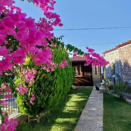 Harmanyeri Tatilevi Oda ve Kahvaltı Selimiye (Aegean)