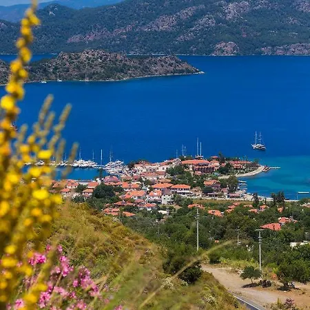 Oda ve Kahvaltı Harmanyeri Tatilevi *